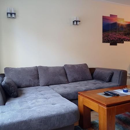 Pine Tree Apartment 3 - B3 Bansko Esterno foto