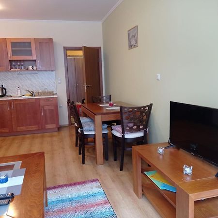 Pine Tree Apartment 3 - B3 Bansko Esterno foto