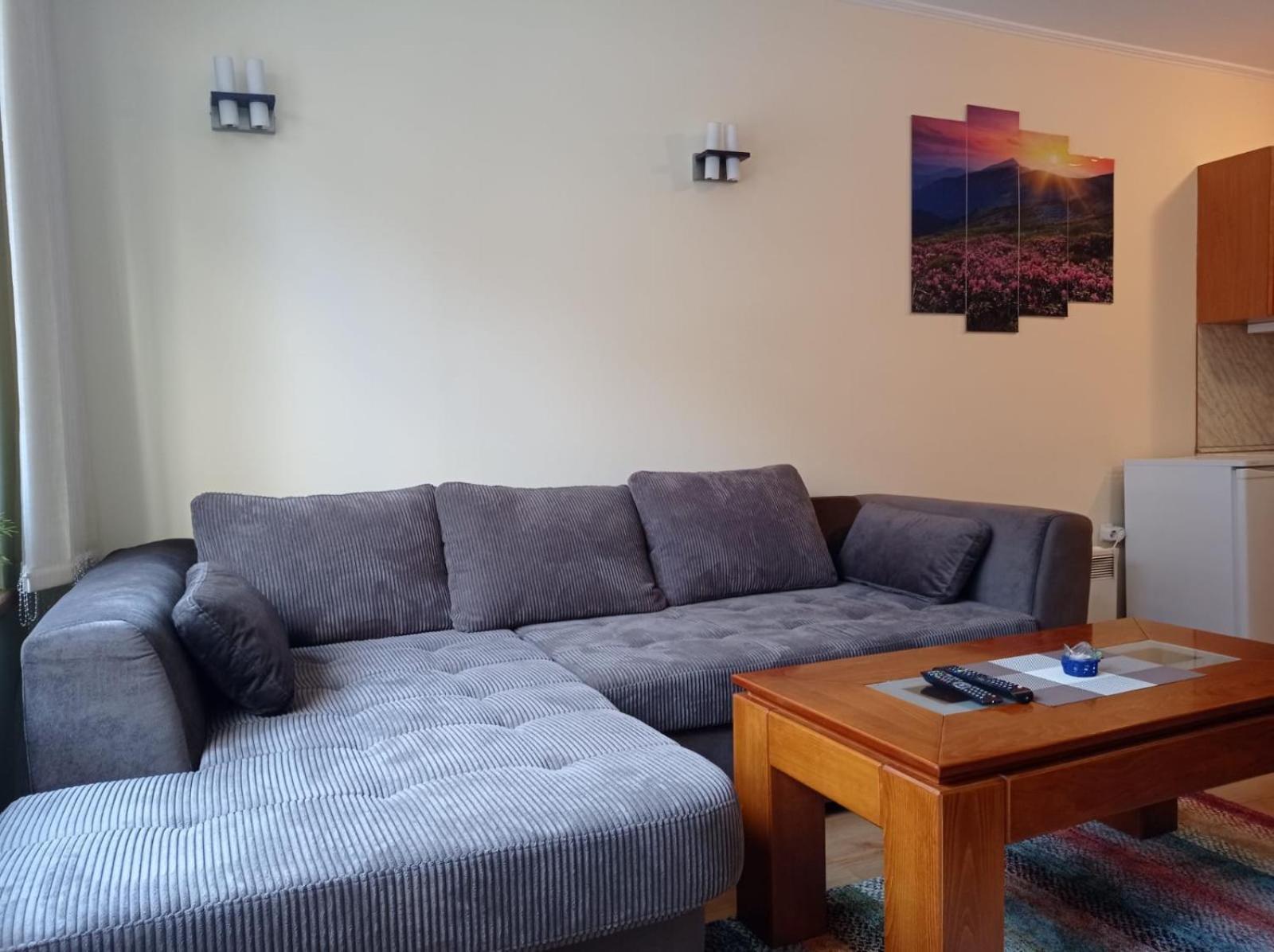 Pine Tree Apartment 3 - B3 Bansko Esterno foto