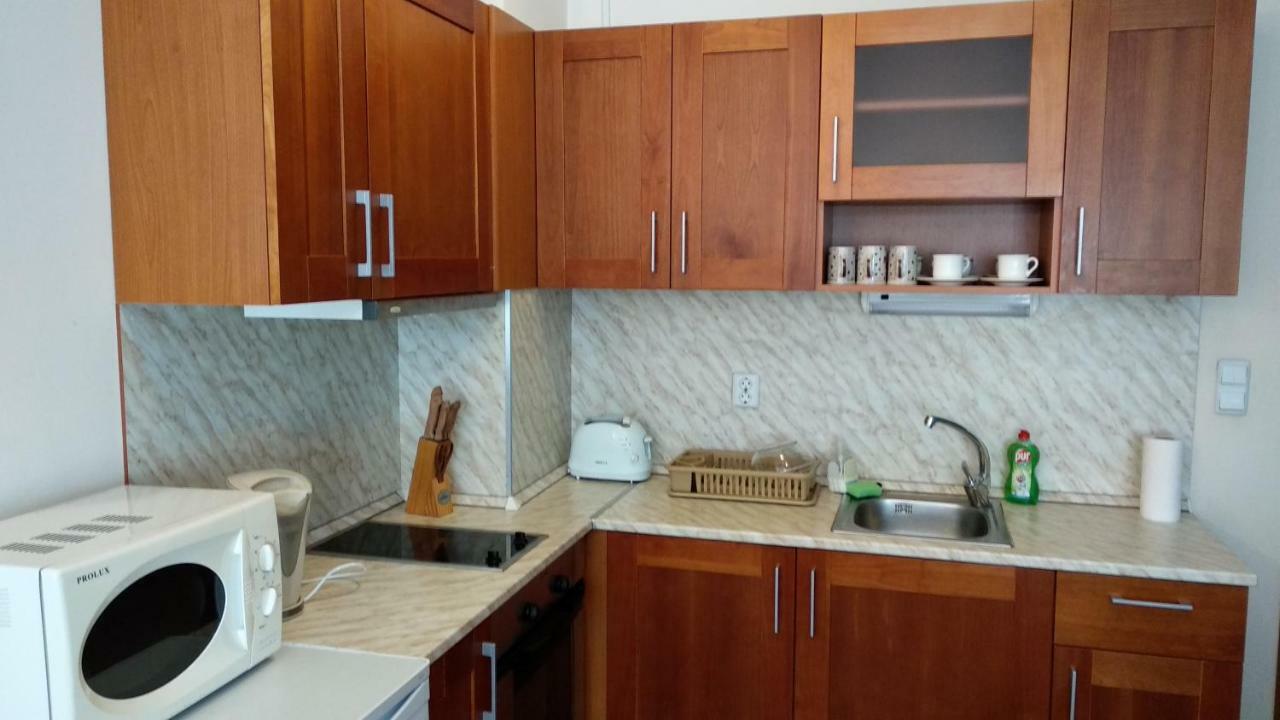 Pine Tree Apartment 3 - B3 Bansko Esterno foto