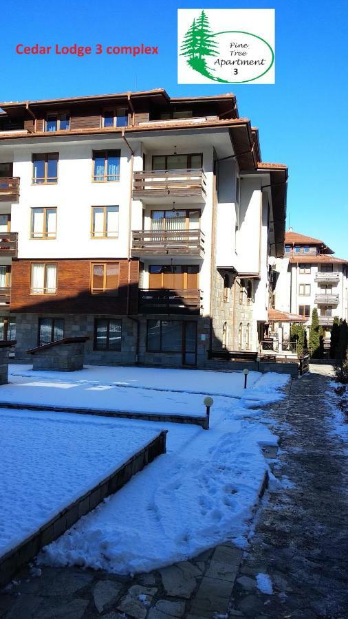 Pine Tree Apartment 3 - B3 Bansko Esterno foto
