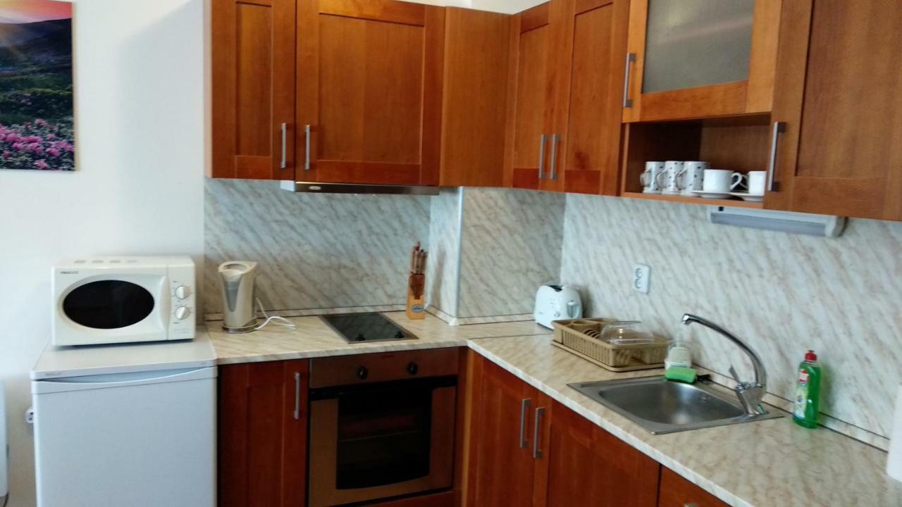 Pine Tree Apartment 3 - B3 Bansko Esterno foto
