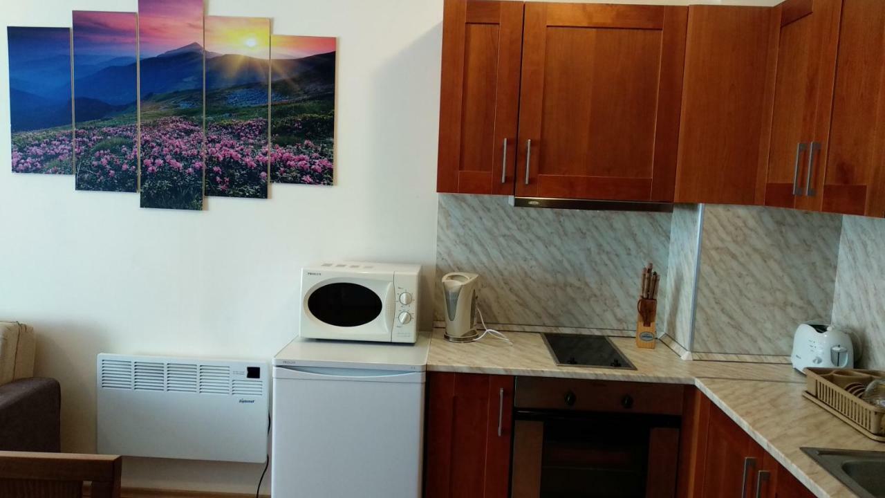 Pine Tree Apartment 3 - B3 Bansko Esterno foto