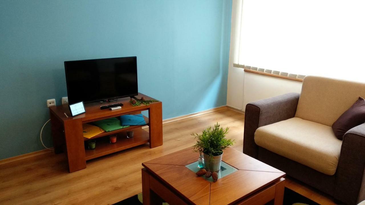Pine Tree Apartment 3 - B3 Bansko Esterno foto
